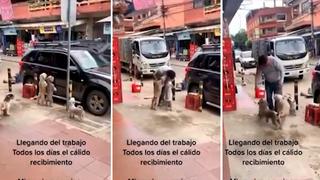 Video viral: Hombre recibe tierna bienvenida de perritos cada vez que llega a su trabajo