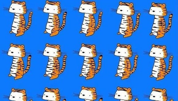 Acertijo visual: encuentra al tigre diferente en la imagen casi imposible en menos de 3 segundos (Foto: Facebook).