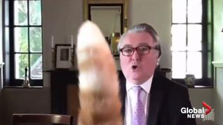 Gato interrumpe Zoom de diputado británico y provoca risas de demás miembros