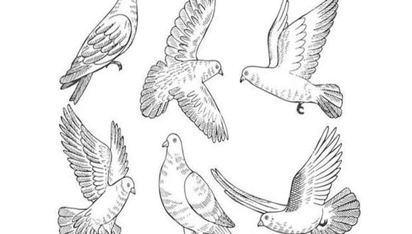 ¿Eres un alma libre o tormentosa? Responde este test visual con la paloma que te agrade. (Foto: Genial.Guru)