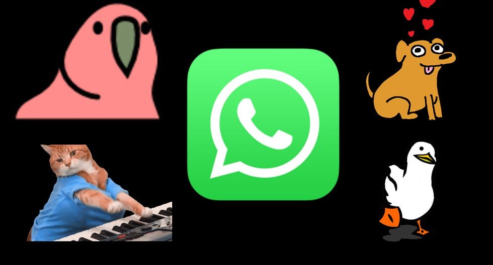 Tecnologia Whatsapp Truco 2020 Como Crear Stickers Animados Personalizados