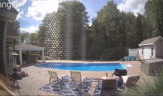 Oso invadió casa y despertó al dueño que estaba descansando junto a la piscina. (Foto: YouTube)