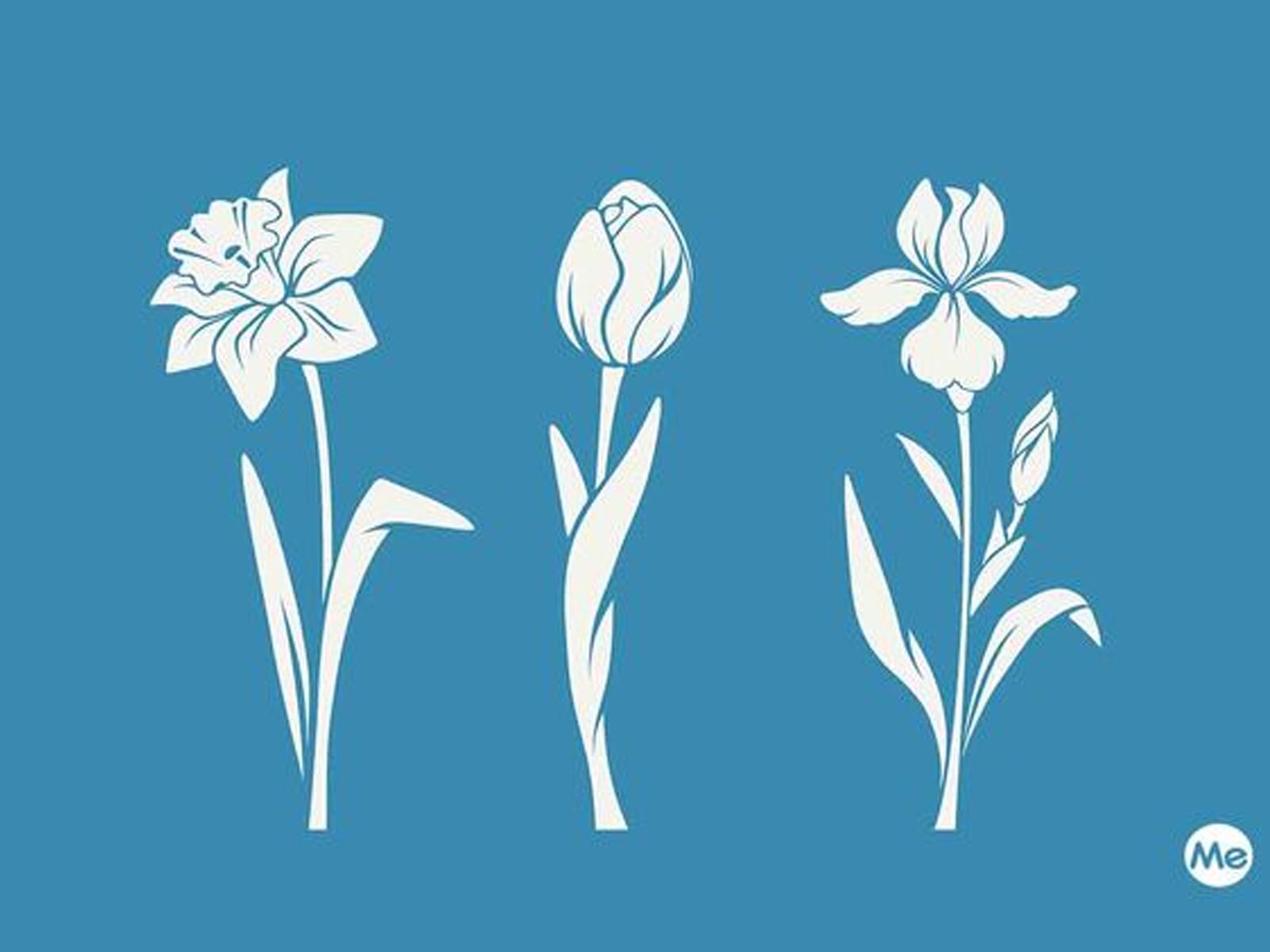 TEST VISUAL | Cada flor representa un arquetipo de personalidad con características distintivas. | Greenme.it