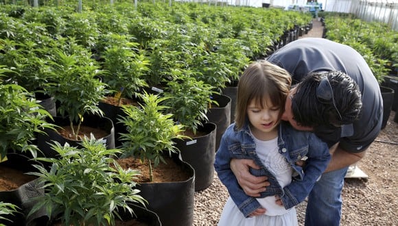 Falleció Charlotte Figi, la niña símbolo del aceite de cannabis a causa del COVID-19. (Foto: AP/Brennan Linsley)