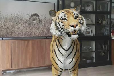 Google: ¿Cómo ver un tiburón o tigre en 3D con realidad aumentada