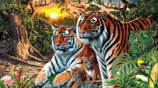 Pon a prueba tu agudeza visual: ¿Cuántos tigres hay en total en la foto? Descúbrelo sin trampas