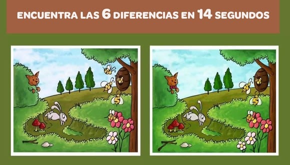 Hay 6 diferencias entre las dos imágenes, y debes encontrarlas en 14 segundos. (Foto: Pinterest)