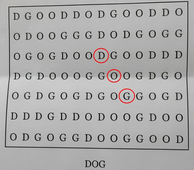 Solution: Look where the word 'DOG' was in the following image (Photo: Bright Side).
