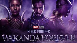 “Black Panther 2” prepararía a este personaje para que sea Pantera Negra en los Vengadores