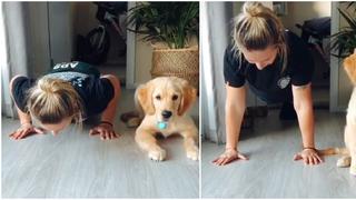 ¡Qué tierno! Un cachorro hizo planchas junto a su dueña y se volvieron viral [VIDEO]