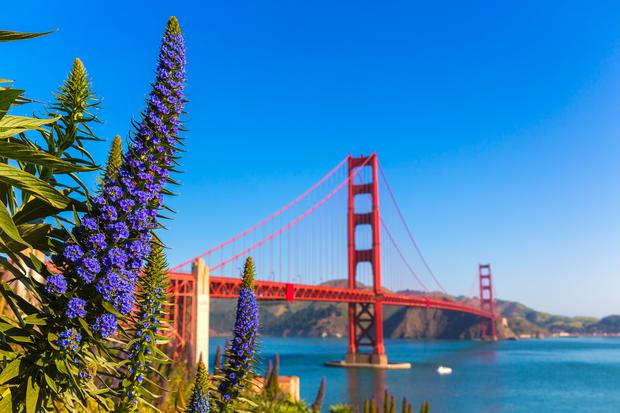 El emblemático Puente Golden Gate de San Francisco (Foto: Shutterstock)