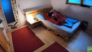El viral de ahora: graban a perro que se quedó solo en un cuarto y lo que hace causa furor en las redes [VIDEO]