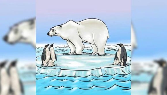 Si llegas a encontrar el error en este reto visual del oso polar eres un ser muy brillante. (Foto: Genial.Guru)