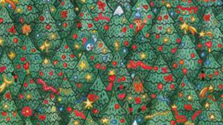 Te recomendamos una lupa: ¿puedes encontrar al pajarito entre los árboles de Navidad de este reto viral? [FOTOS]