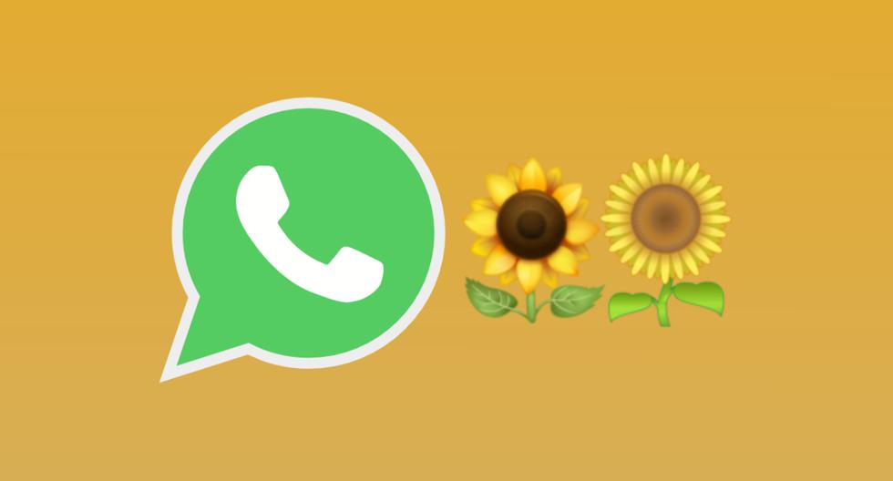 Top 38+ imagen significado de girasol en whatsapp