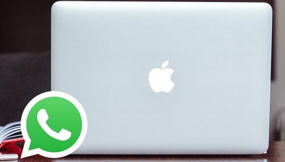 Descargar Whatsapp para Windows, Apk Android, Mac Os o iPhone
