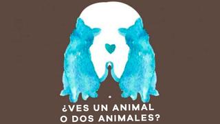 ¿Un animal o dos? Mira este test viral y tu respuesta revelará tu forma de ser en la actualidad