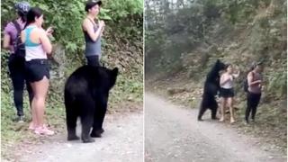 No tiene miedo a nada: se hace un ‘selfie’ mientras un oso negro la olfatea