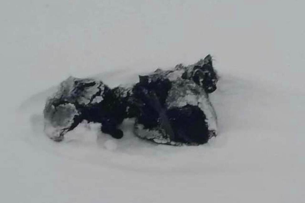  Camionero quedó conmovido al encontrar ‘extraño paquete’ en medio de tormenta. (Foto: Clyde Compton / The Dodo) 