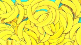 Ubica aquí a la serpiente entre las bananas en 5 segundos del reto viral [FOTOS]