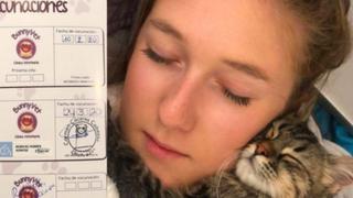 Joven lucha por salvarle la vida a su gatito que adoptó en Perú y al que le quieren aplicar la eutanasia en su país