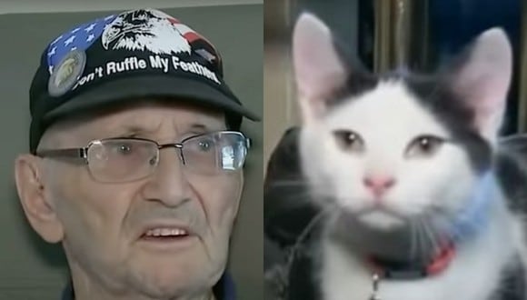 Un gato le salvó la vida a su anciano dueño gracias al "entrenamiento" que le dio sin querer cuando atendía llamadas en su teléfono celular. | Crédito: FOX 17 WXMI / YouTube