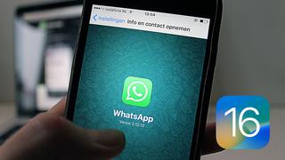 Cómo sacar el texto de una imagen de WhatsApp desde iOS 16