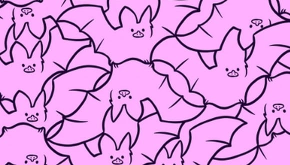 En esta imagen, cuyo fondo es de color rosado, hay muchos murciélagos. (Foto: genial.guru)