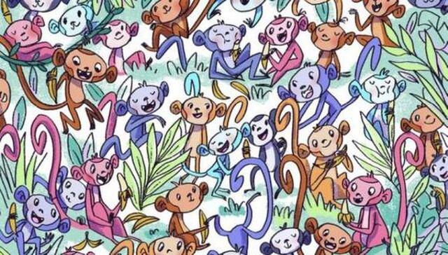 Busca el calcetín entre los monos de este acertijo visual, pero hazlo en 10 segundos. (Imagen: mdzol.com)