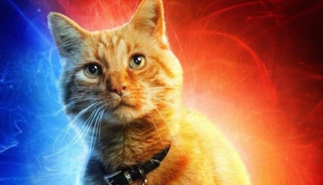 Goose en Captain Marvel y en los cómics de Marvel