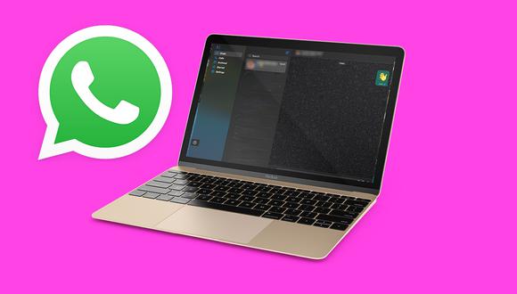 Aquí puedes descargar la última versión de WhatsApp Web Beta en tu Mac. Te damos el enlace. (Foto: WABeta Info)