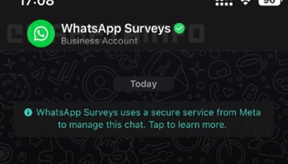 WhatsApp encuestas: así funciona el nuevo chat de sugerencias que desarrolla Meta. Foto: WaBetainfo