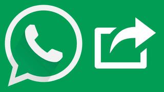 WhatsApp: ¿cómo reenviar un video quitando la descripción?