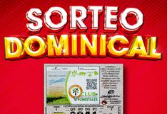 Lotería Nacional de Panamá EN VIVO HOY 4 de junio: resultados del Sorteo Dominical