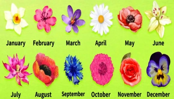 TEST VISUAL | En esta imagen hay muchas flores. Cada una representa un mes. (Foto: namastest.net)