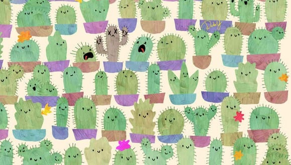En esta imagen podemos apreciar muchos cactus. Entre ellos, hay una manzana. (Foto: dudolf.com)