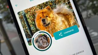 Smartphone: apps para saber de qué raza es tu perro
