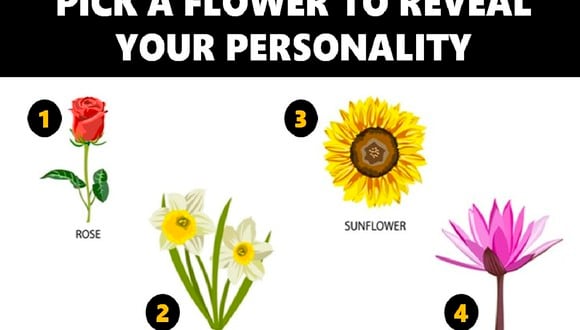 Tu elección en este test de personalidad revelará aspectos únicos sobre ti.| Foto: jagranjosh