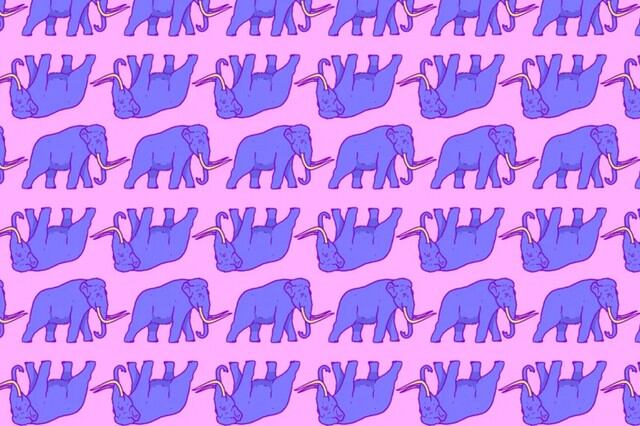 Halla los dos elefantes escondidos entre los mamuts de esta imagen viral. (Televisa)