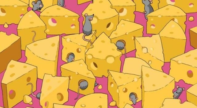 ¿Puedes encontrar el dado oculto entre los quesos y las ratas? (Difusión)