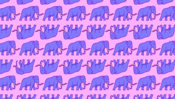 Hay 2 elefantes entre los mamuts en la imagen. El reto viral consiste en hallarlos. (Foto: Noticieros Televisa)