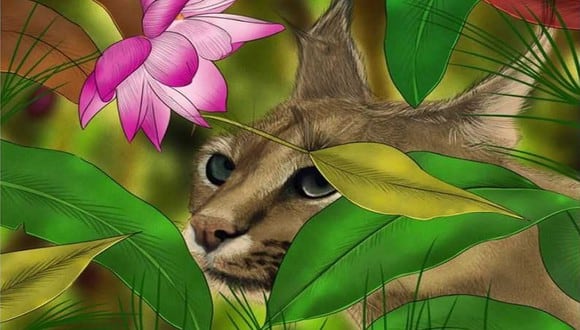 En este desafío de ilusión óptica podrás ver a un gato, una flor de loto y algunas hojas, pero tienes que encontrar el colibrí escondido. (Foto: cortesía Brightside.com)