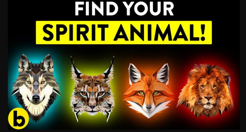 Choose an animal and a personality test will reveal the most irrational side of you |  Psychological test |  viral |  nnda nnrt |  Mexico