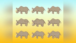 Prueba tu vista detectando el número total de rinocerontes en la imagen en 11 segundos