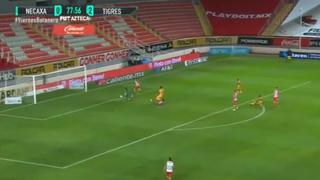 Tigres venció 3-0 a Necaxa: el doblete de Gignac para cerrar la fiesta en Aguascalientes por Liga MX [VIDEO]