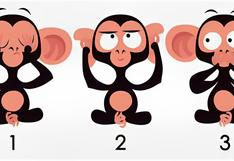 Uno de los monos de la imagen te hará descubrir tu mayor atractivo en la vida