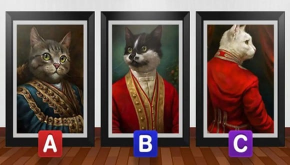 TEST VISUAL | En esta imagen se aprecian gatos. Cada uno lleva puesto un traje peculiar. (Foto: namastest.net)