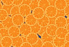 El viral que deja mareados a todos: encuentra los 4 sashimis camuflados entre las naranjas del reto [FOTO]