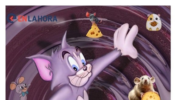 Ayuda a Tom a encontrar a Jerry en este reto visual en solo cuatro segundos. (Foto: EnLaHora)