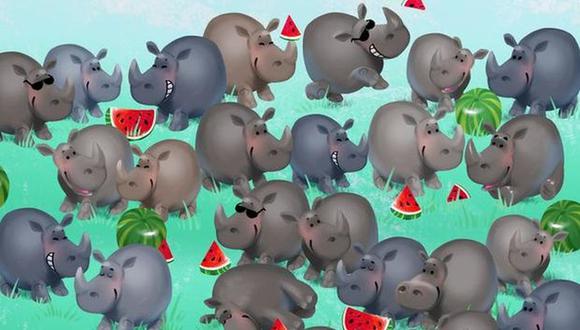 Reto visual: ¿puedes encontrar al hipopótamo entre los rinocerontes de la imagen? Tienes 4 segundos (Foto: Genial.Guru).